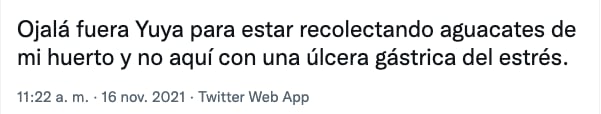 Fans reaccionan a Yuya y su cosecha de aguacates