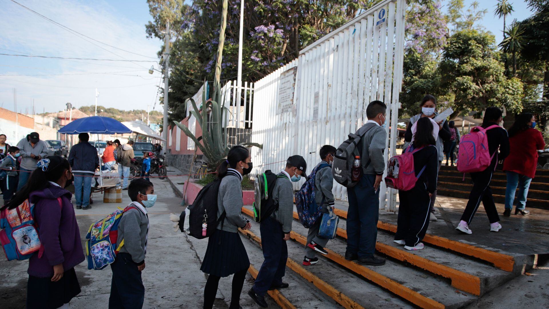 Regreso a clases 2024: Fecha para preparatoria, universidad, primaria y secundaria