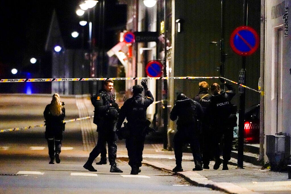Hombre armado con arco y fleca mata a 5 personas en Noruega