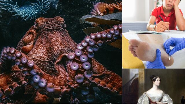 Efemérides del 8 de octubre