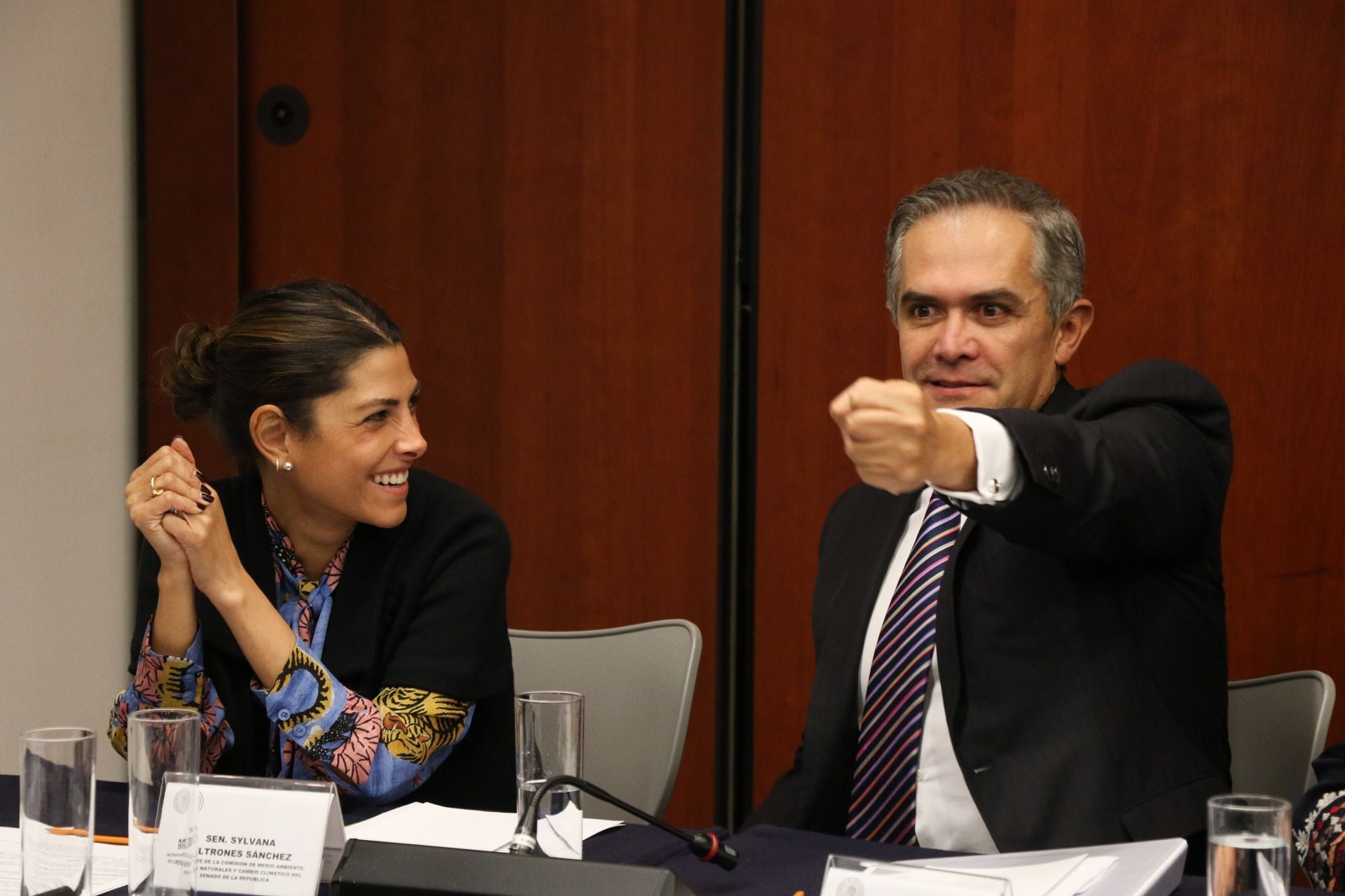 Sylvana Beltrones Sánchez, figura clave del PRI en Sonora.