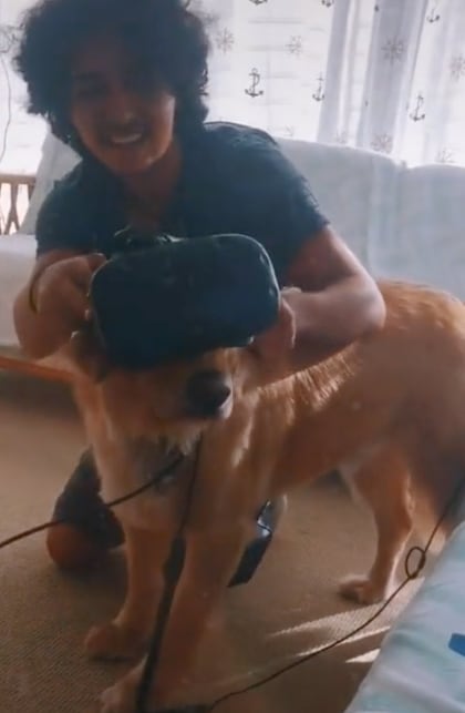 Perro prueba casco de realidad virtual
