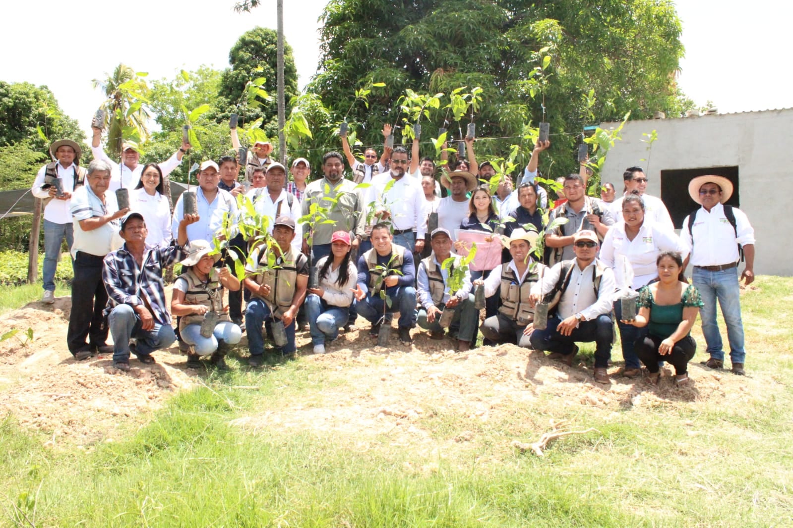 Secretaría de Bienestar capacita a productoras y productores de Sembrando Vida en Macuspana.