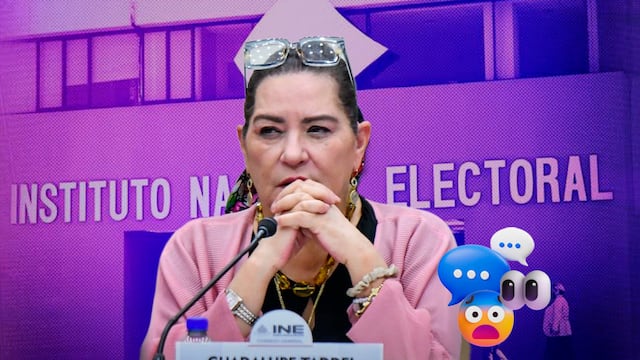 Guadalupe Taddei sale del INE tras polémica gestión