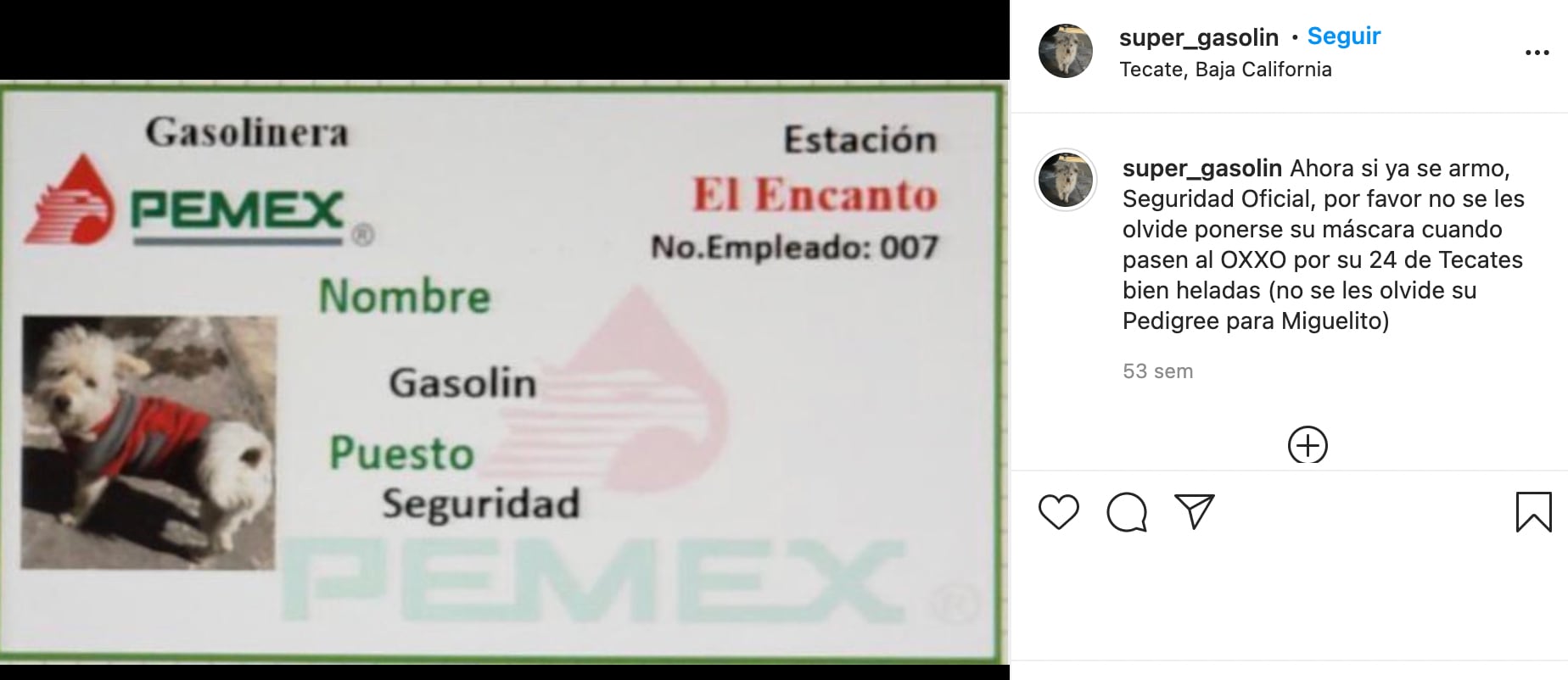 Gafete del perrito