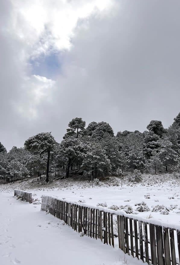 Nevada en el Cofre de Perote