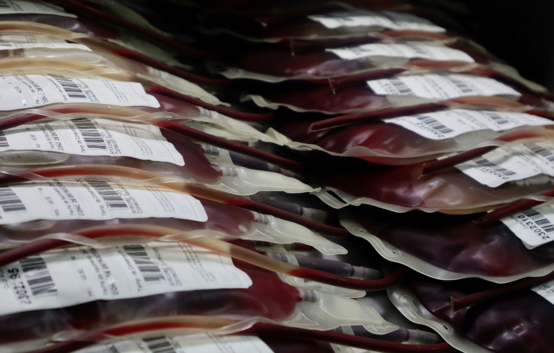 Donación de sangre