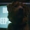 ¿Good Boy tiene escenas post créditos? Lo que debes saber antes de salir del cine