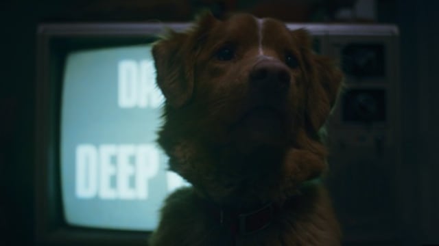 Good Boy