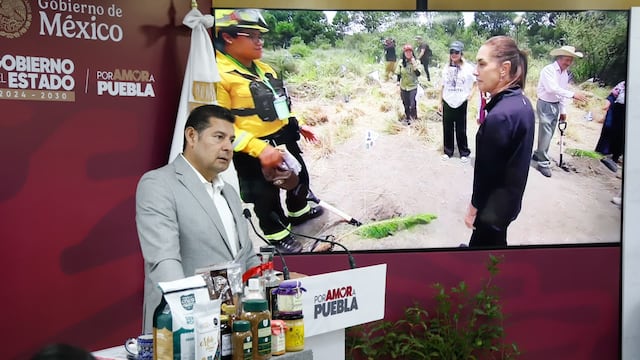Claudia Sheinbaum declara el Día Nacional de la Reforestación; Puebla sembrará 2 millones de árboles.