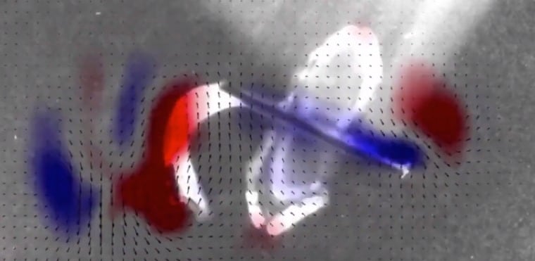 Pez robótico impulsado con células de un corazón humano