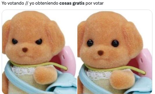 Los memes ya planean la ruta de cosas gratis por votar en estas elecciones del 2 de junio