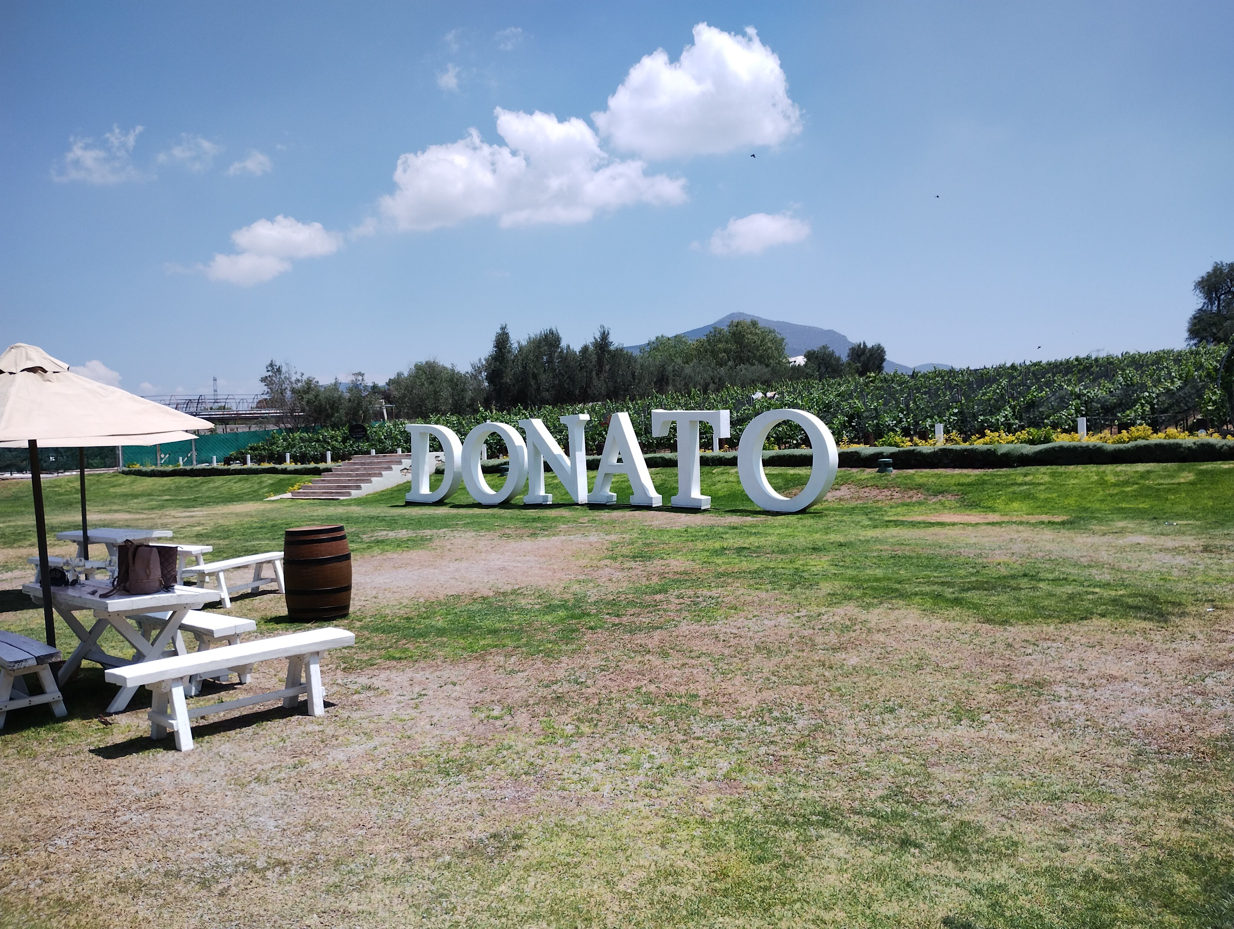 Viñedo Donato, Querétaro
