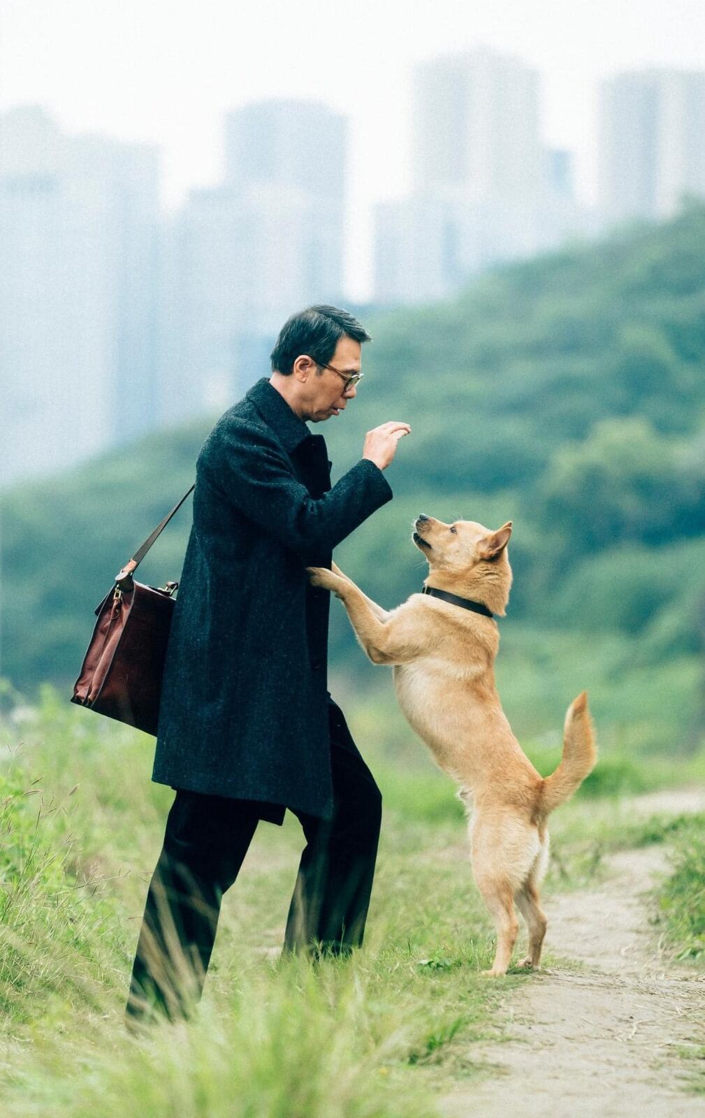 ¿Cuándo se estrena Hachiko 2? Siempre a tu lado ya tiene fecha de estreno en México