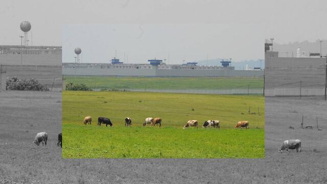 Ya no tienen dinero para seguir pagando abogados particulares.