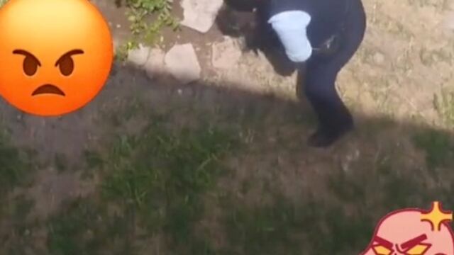 Empleada de Coppel destruye árbol