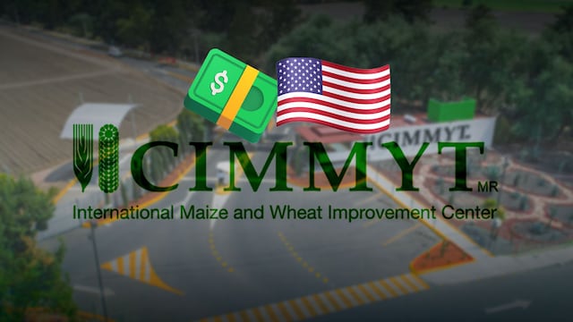 Estados Unidos anuncia inversión al CIMMYT en México