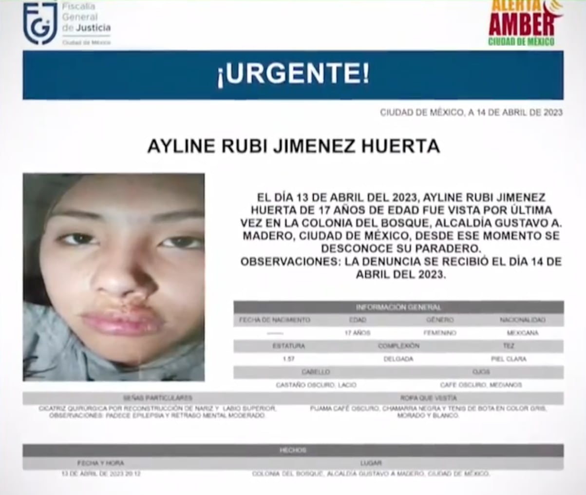 Ficha de desaparición de Ayline