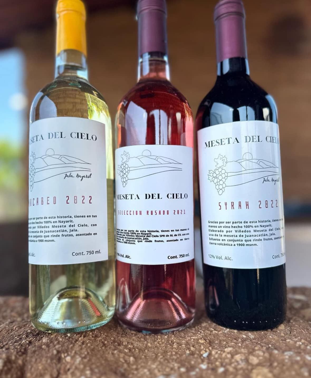 Meseta del Cielo, el nuevo viñedo de Nayarit