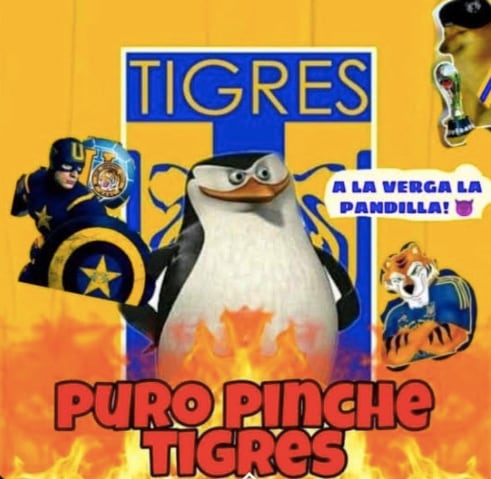 Memes Tigres