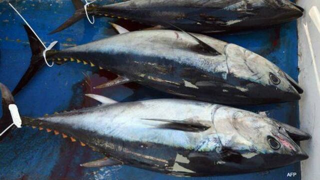 Atun