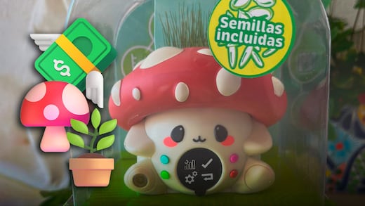 Precio de FungiPot, una mascota inteligente y diferente