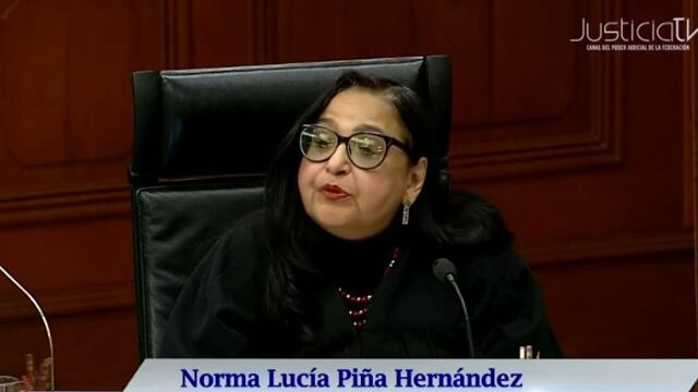 Norma Lucía Piña Hernández