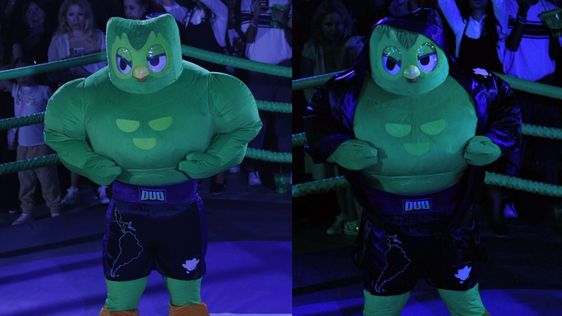 Botargada del Año 2025: Quién ganó y los momentos más destacados de la pelea épica de botargas de Duolingo