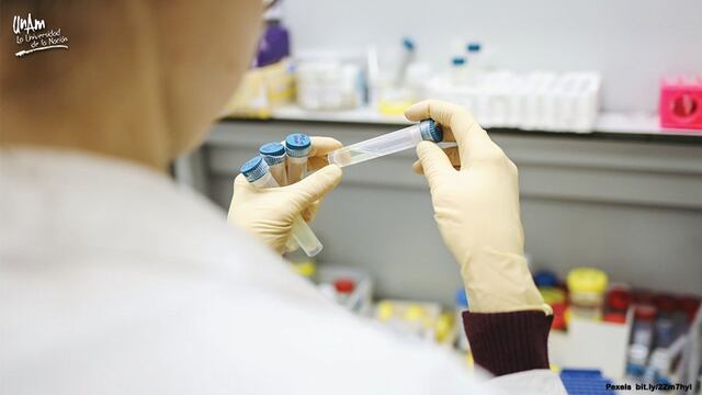 Trabajo en laboratorio
