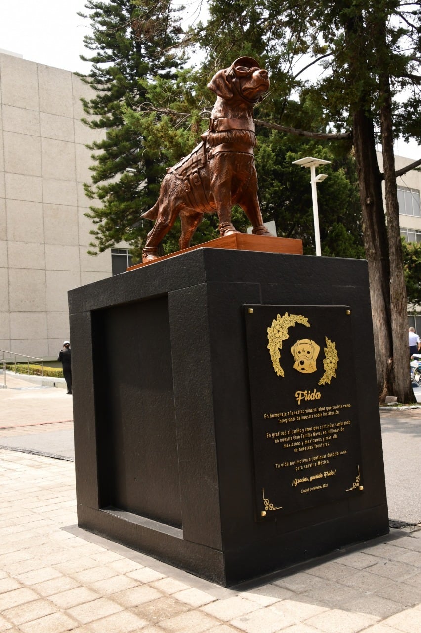 Estatua de Frida, la perrita rescatista, en las instalaciones de la Marina