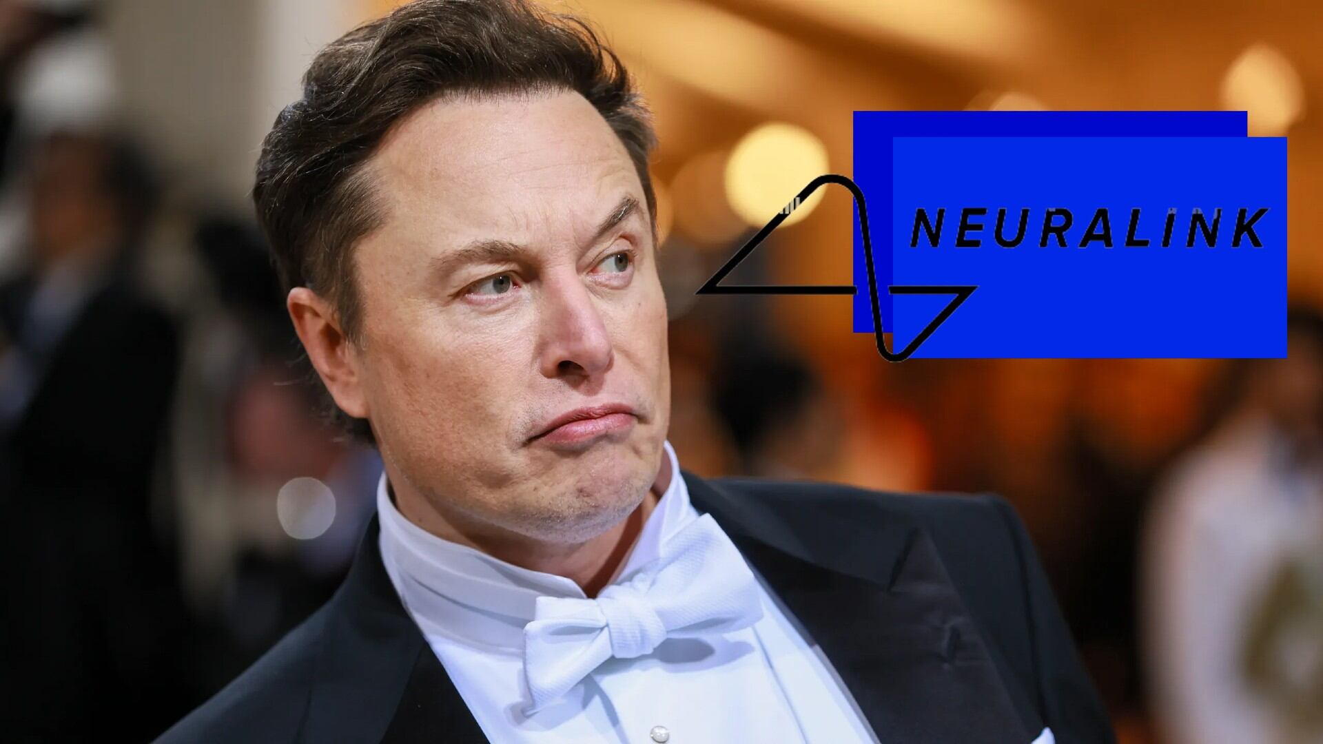 Neuralink, de Elon Musk, acusada de matar a más de mil 500 animales con sus experimentos fallidos