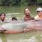 Un enorme pez de 200 kilos pone en riesgo la Amazonia por estos motivos
