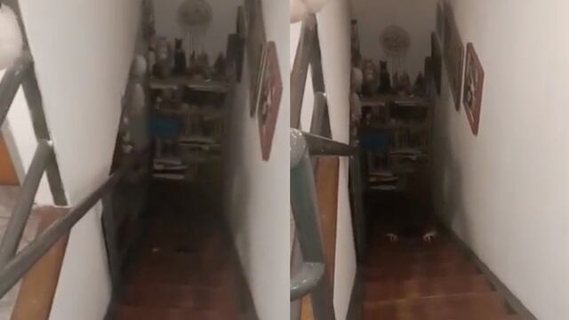 Par de manos se arrastran