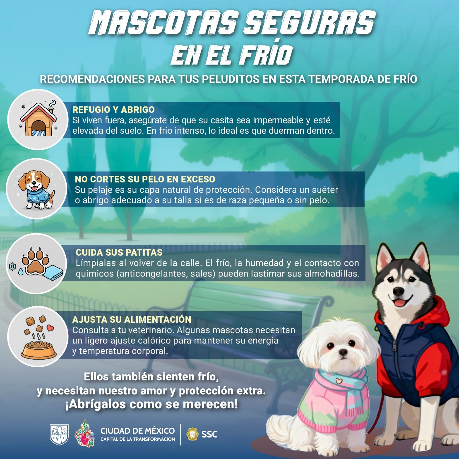 Recomendaciones para cuidar a las mascotas durante la temporada de temperaturas frías en CDMX