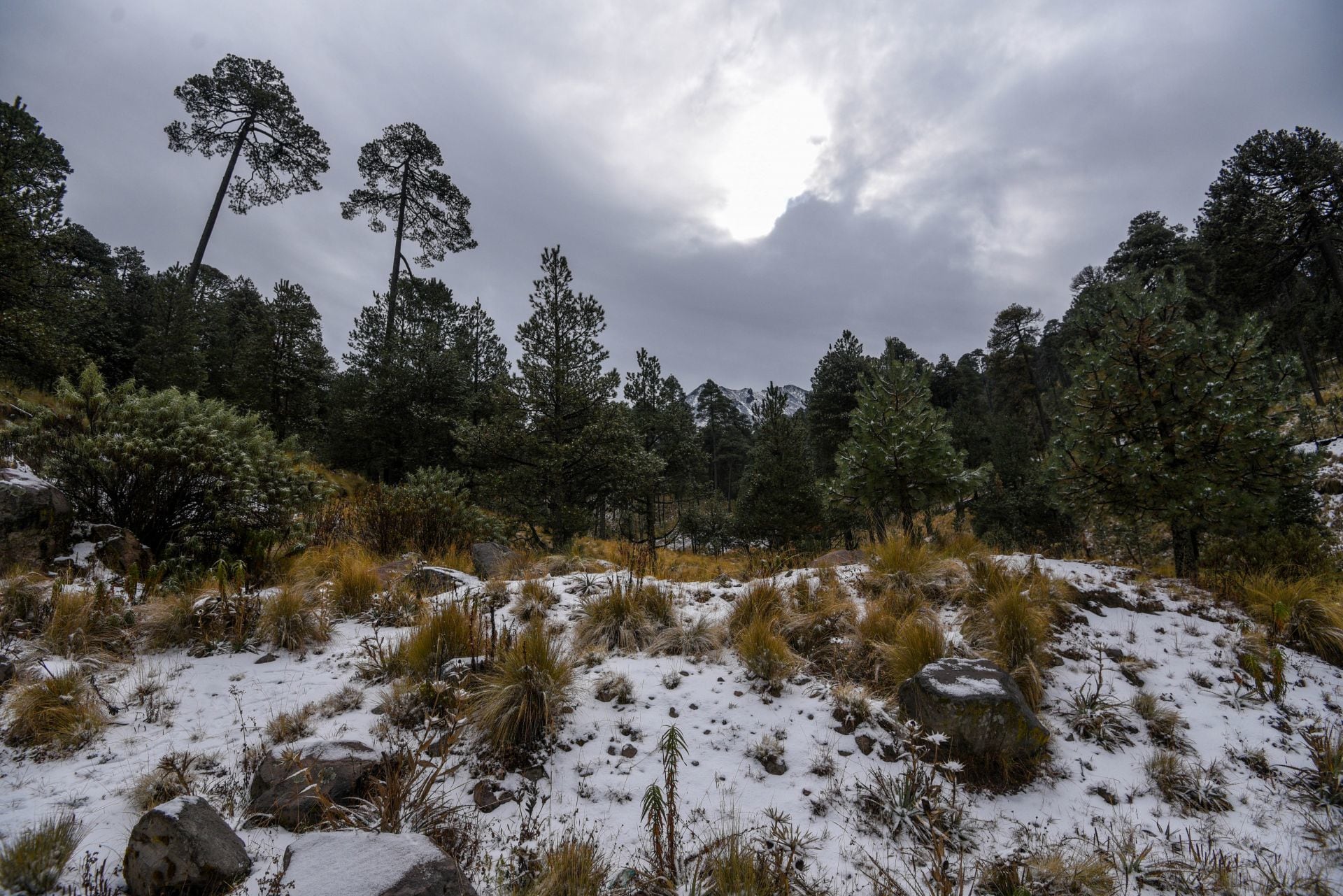 Nieve en Zinacantepec y Jocotitlán, Estado de México