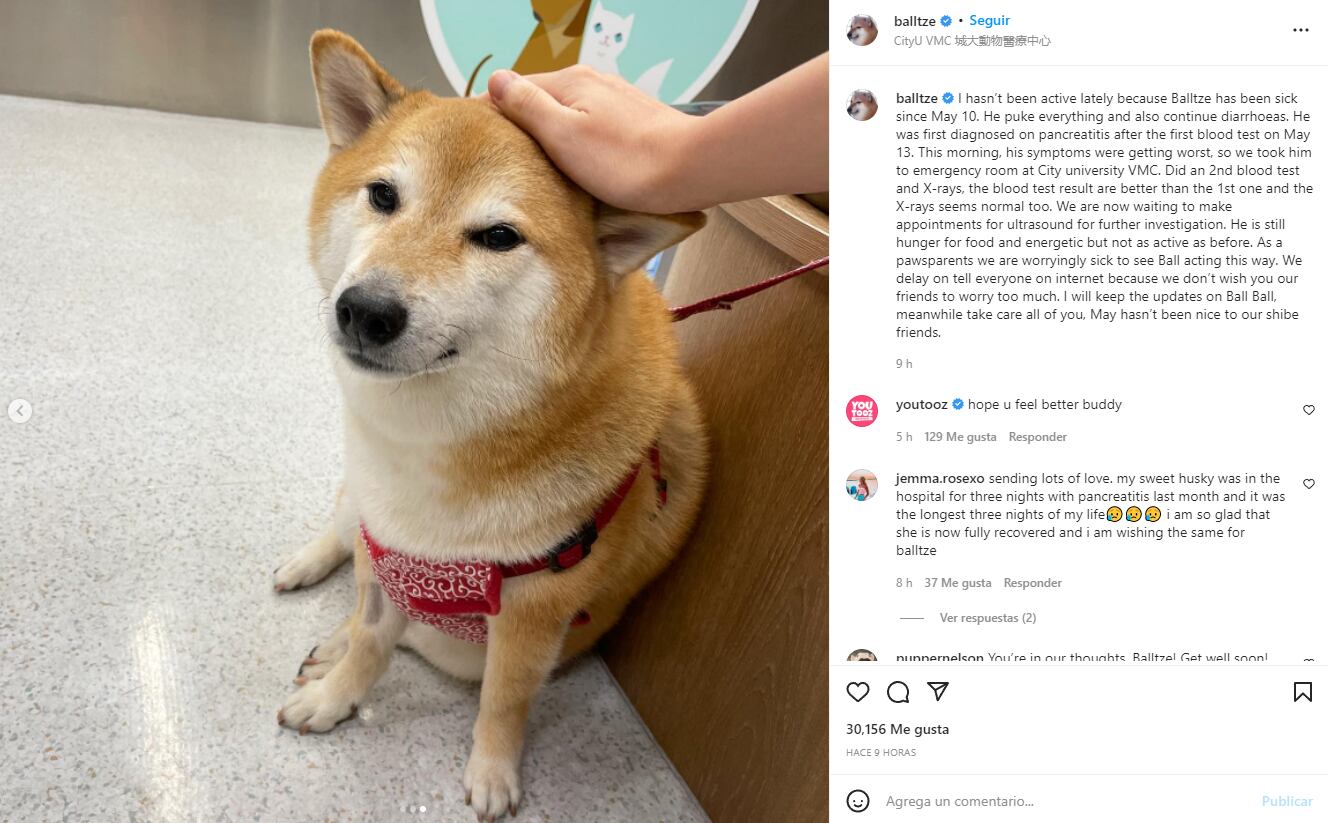 Mensaje sobre el estado de saludo de Cheems