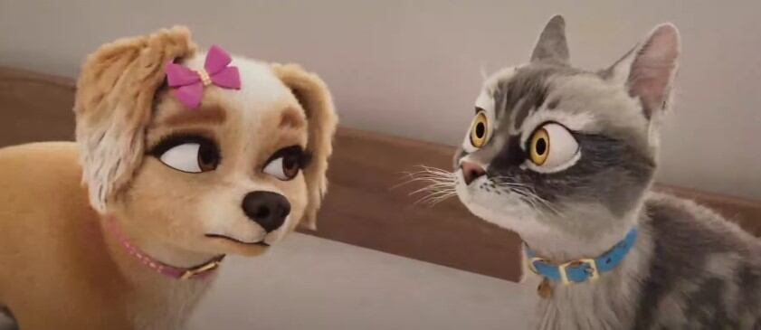 Mascotas en apuros 2024