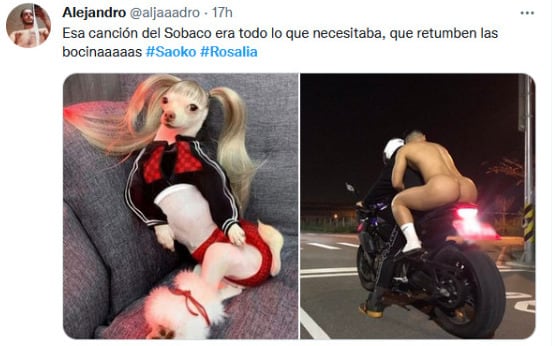 'Saoko', memes