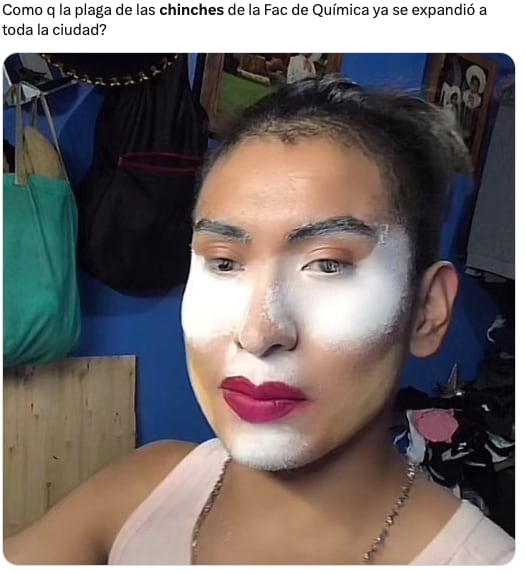Plaga de chinches de la UNAM en CDMX desata los memes ansiosos de usuarios