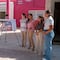 Isla Mujeres tendrá su primer Centro de Asistencia Social: Mara Lezama