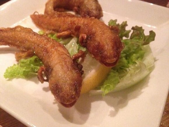 Ajolotes fritos en restaurante de Japón causa indignación