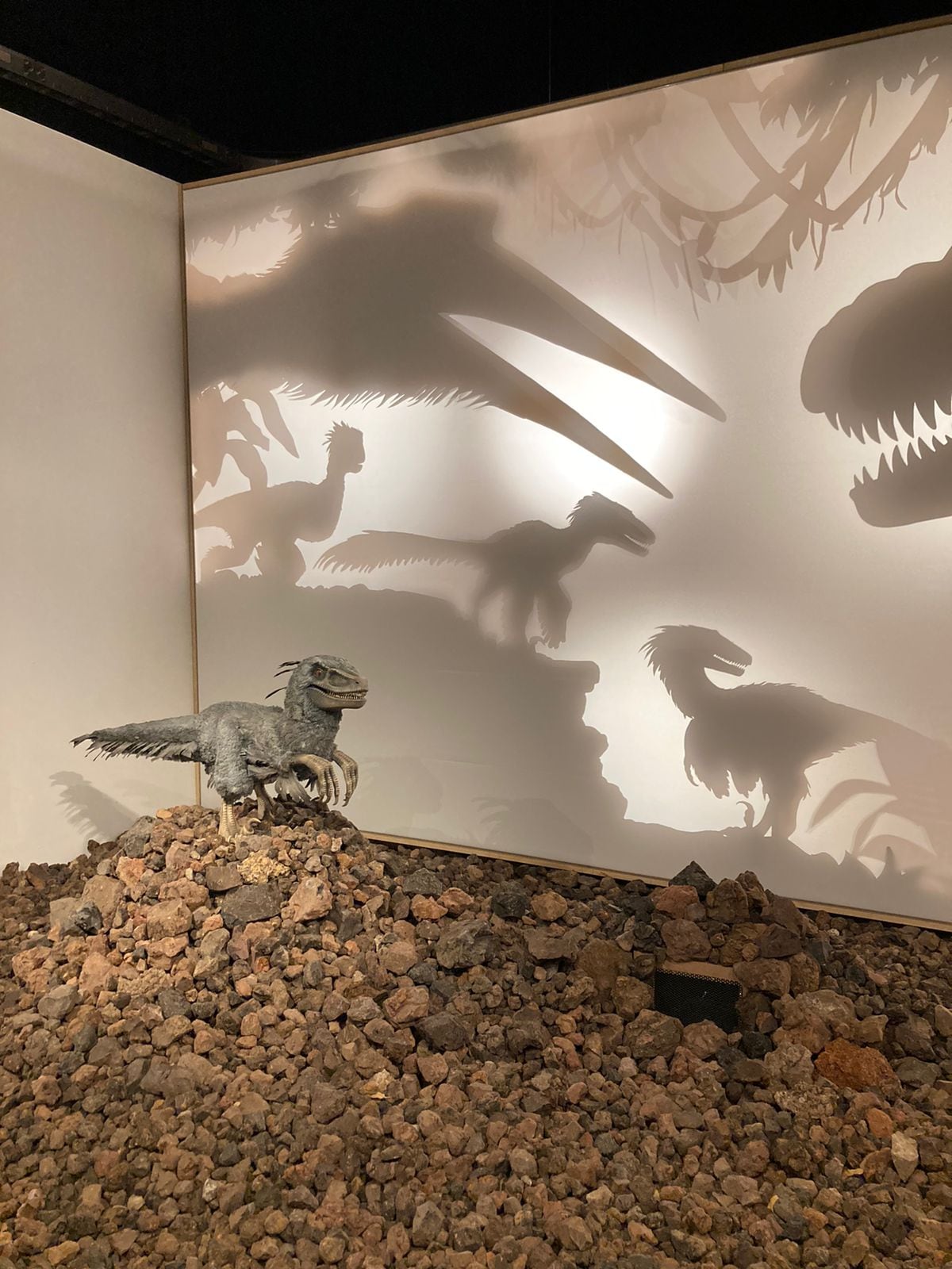 Dinosaurios entre nosotros: Dónde, cuándo y precio del boleto para la exposición de la UNAM