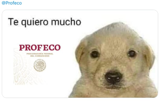 Los memes aplauden a Profeco por reprender a Ticketmaster