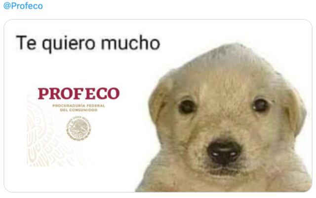 Los memes de Profeco regañando a Ticketmaster por su cláusula abusiva ...