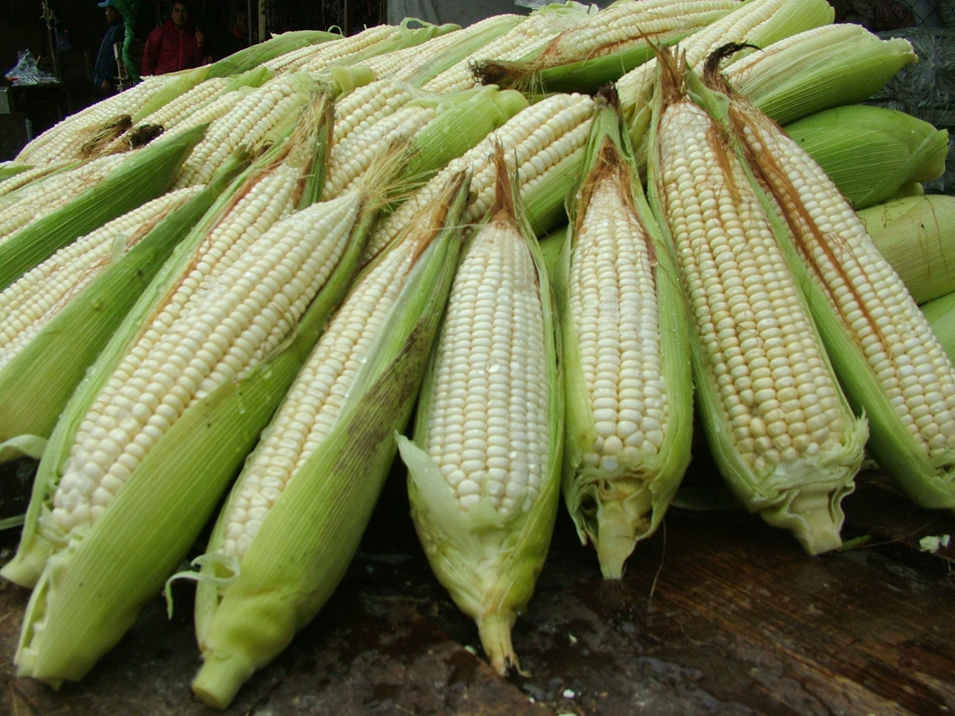 Elotes.