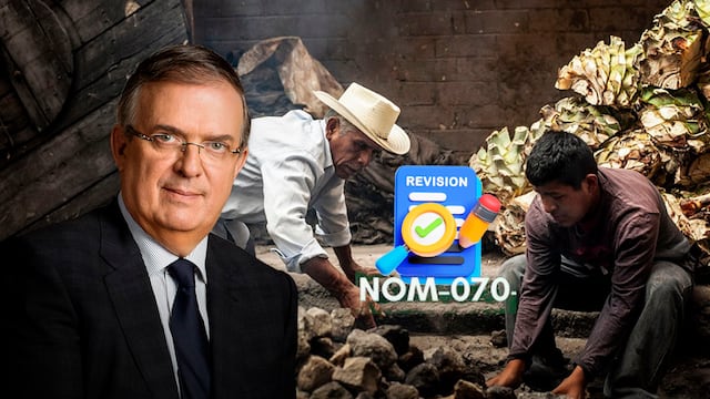 Productores de mezcal piden a Ebrard incluirlos en revisión de la NOM-070