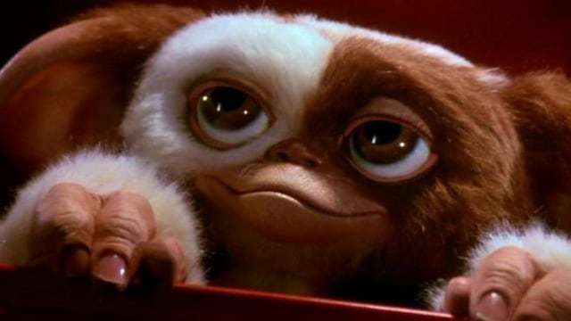 'Gizmo' tendrá una serie en HBO Max