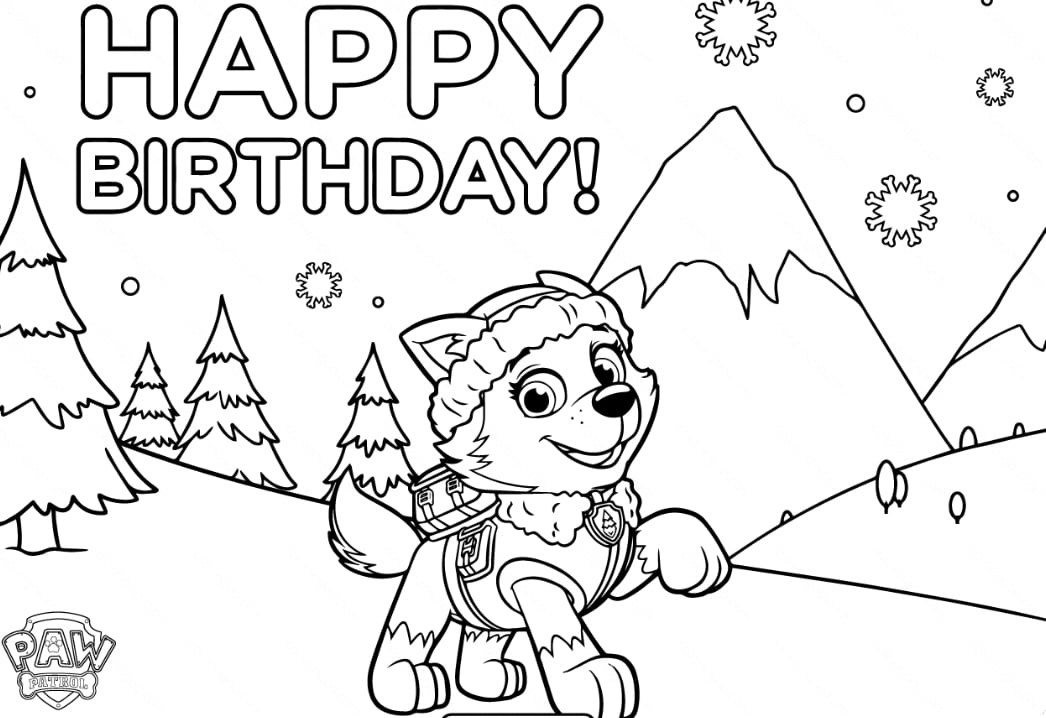 Everest de Paw Patrol de cumpleaños