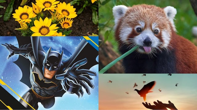 Efemérides del 21 de septiembre 2024