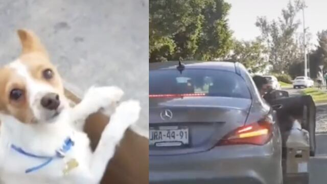 Captan a hombre abandonando un perro en la calle